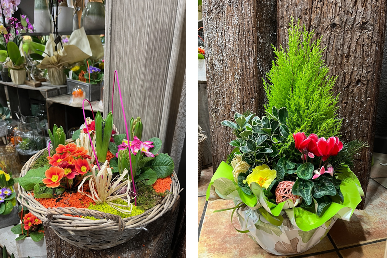 Pech Memoria Entretien et nettoyage de sépulture